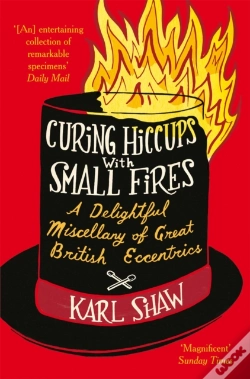 Capa do artigo Curing Hiccups With Small Fires