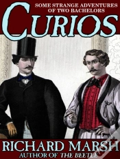Capa do artigo Curios