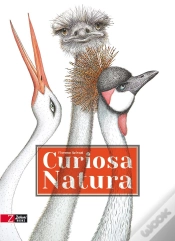 Capa do artigo Curiosa Natura