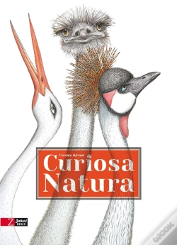 Capa do artigo Curiosa Natura