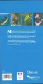 Curiosites Geologiques - Mayotte - Preview