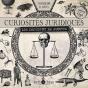 Curiosités Juridiques ; Les Décisions De Justice - Preview