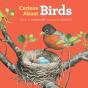 Curious About Birds - Preview