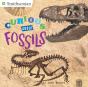 Curious About Fossils - Preview