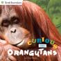 Curious About Orangutans - Preview
