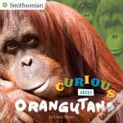Capa do artigo Curious About Orangutans