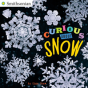 Curious About Snow - Preview