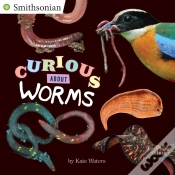 Capa do artigo Curious About Worms