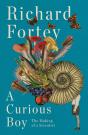 Curious Boy - Preview
