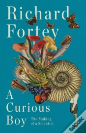 Capa do artigo Curious Boy