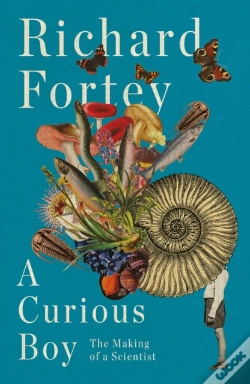Capa do artigo Curious Boy