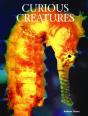 Curious Creatures - Preview