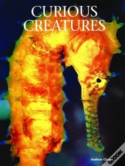 Capa do artigo Curious Creatures
