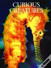 Capa do artigo Curious Creatures