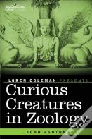 Curious Creatures In Zoology