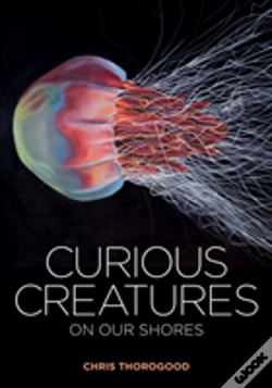 Capa do artigo Curious Creatures On Our Shores