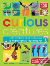 Capa do artigo Curious Creatures