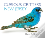 Curious Critters New Jersey
