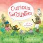 Curious Encounters - Preview