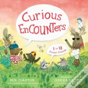 Capa do artigo Curious Encounters