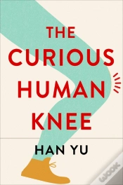 Capa do artigo Curious Human Knee