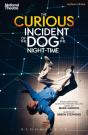 Curious Incident Of The Dog In The Night-Time - Preview