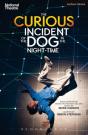 Curious Incident Of The Dog In The Night-Time - Preview