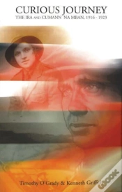 Capa do artigo Curious Journey