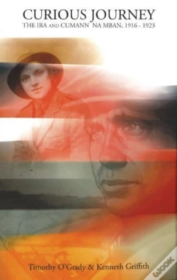 Capa do artigo Curious Journey