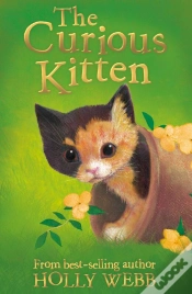 Capa do artigo Curious Kitten