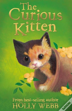 Capa do artigo Curious Kitten
