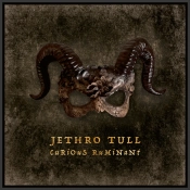 Capa do artigo Curious Ruminant - CD