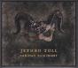 Curious Ruminant - CD - Preview
