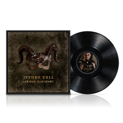Capa do artigo Curious Ruminant - Vinil