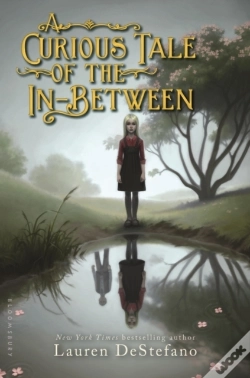 Capa do artigo Curious Tale Of The In-Between