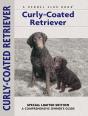 Curly-Coated Retriever - Preview