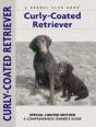 Curly-Coated Retriever - Preview