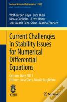 Current Challenges In Stability Issues For Numerical Differential Equations