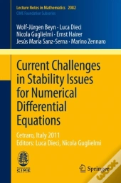 Current Challenges In Stability Issues For Numerical Differential Equations