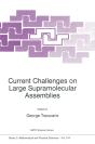 Current Challenges On Large Supramolecular Assemblies - Preview