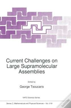 Capa do artigo Current Challenges On Large Supramolecular Assemblies