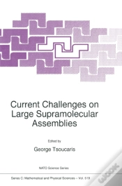 Capa do artigo Current Challenges On Large Supramolecular Assemblies