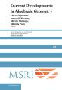 Current Developments In Algebraic Geometry - Preview