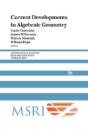 Current Developments In Algebraic Geometry - Preview