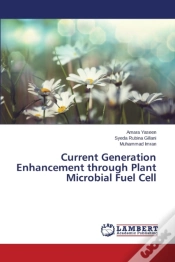 Capa do artigo Current Generation Enhancement Through Plant Microbial Fuel Cell