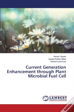 Capa do artigo Current Generation Enhancement Through Plant Microbial Fuel Cell
