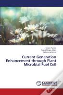 Current Generation Enhancement Through Plant Microbial Fuel Cell