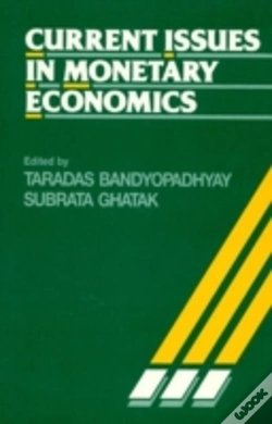 Capa do artigo Current Issues In Monetary Economics
