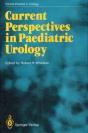 Current Perspectives In Paediatric Urology - Preview