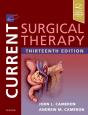 Current Surgical Therapy - Preview